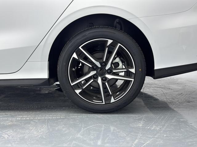 Geely Binrui 2024