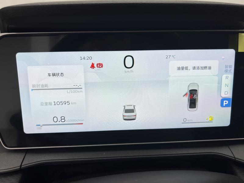 Geely Binrui 2024