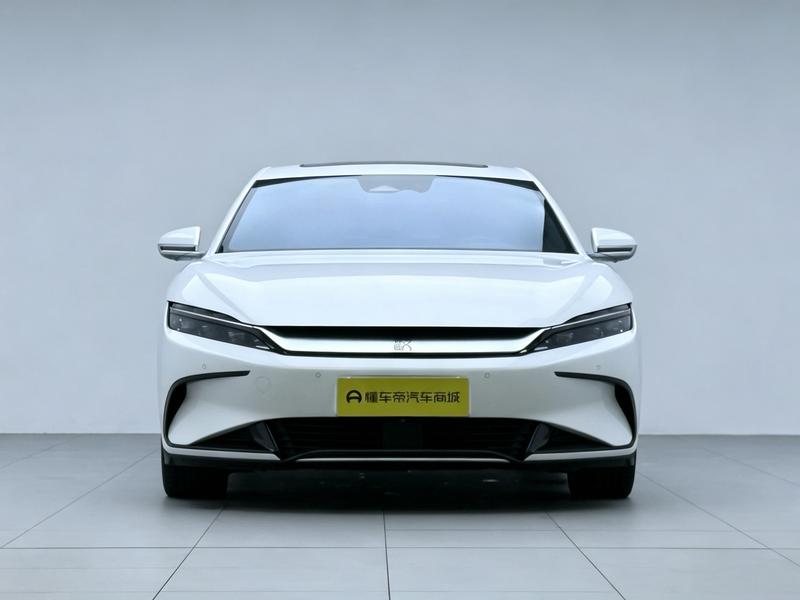 BYD Han EV 2022