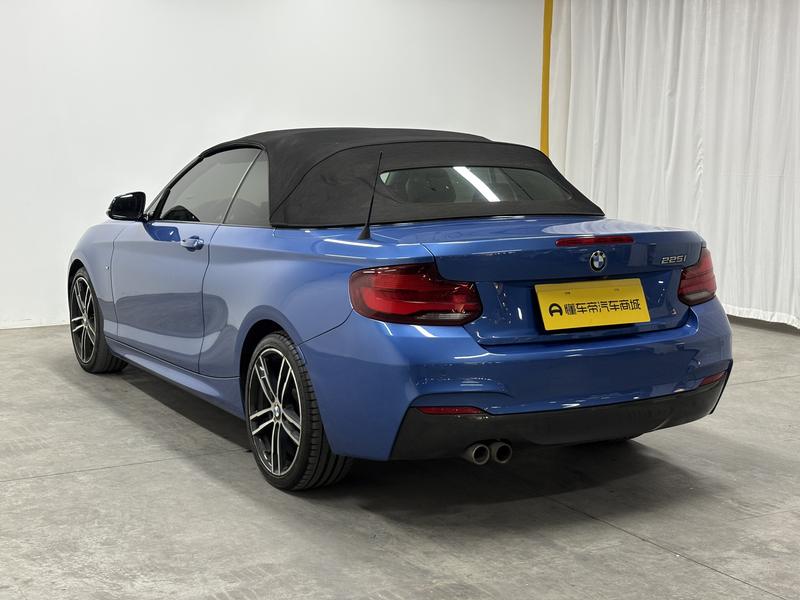 BMW BMW 2 Series (imported) 2019