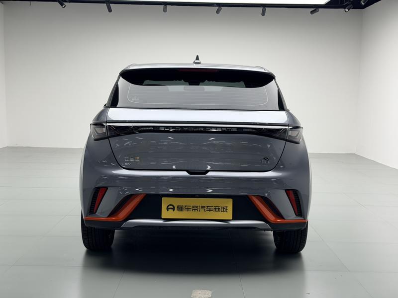 BYD dolphin 2021