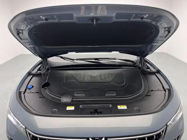 VOYAH Lan Tu FREE Four-wheel drive standard range extension exclusive luxury set