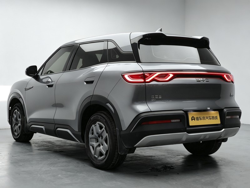 BYD Yuan UP 2024
