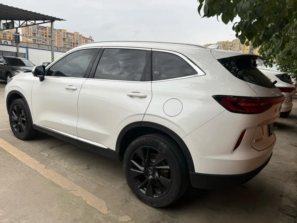 Haval Haval H6 The third generation 2.0T automatic four-wheel drive Max version