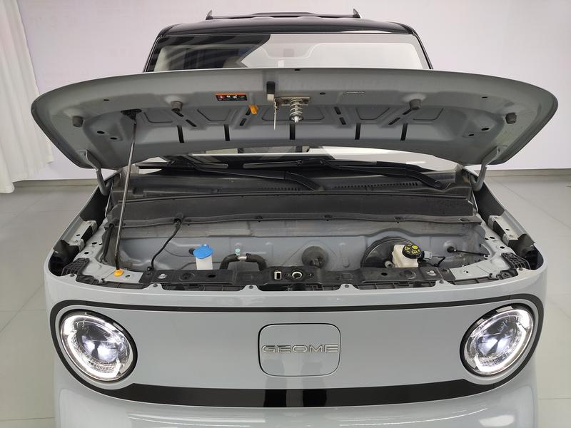Geely Galaxy panda 2024