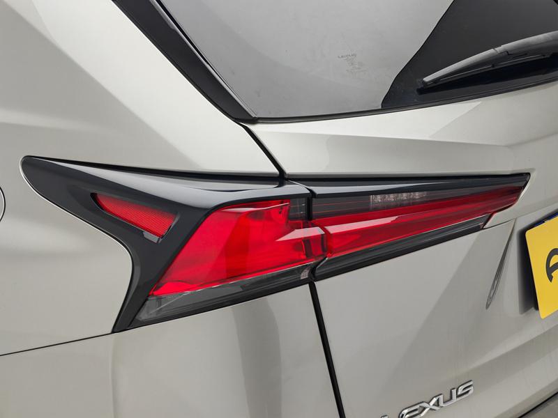 Lexus Lexus NX 2020