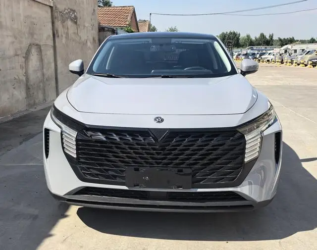 Venucia Qichen Big V 260T King Edition