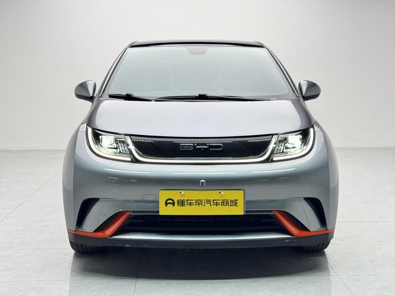 BYD dolphin 2021