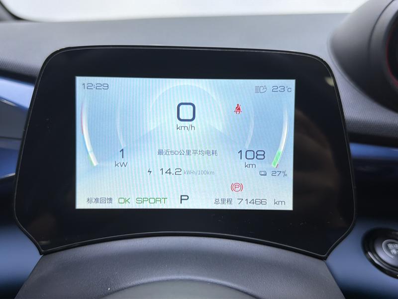BYD dolphin 2021