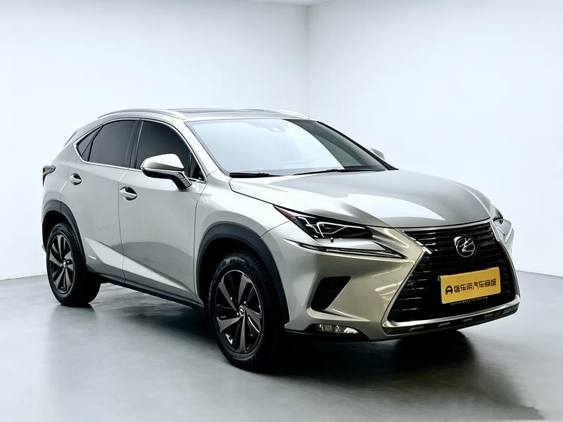 Lexus Lexus NX 2020