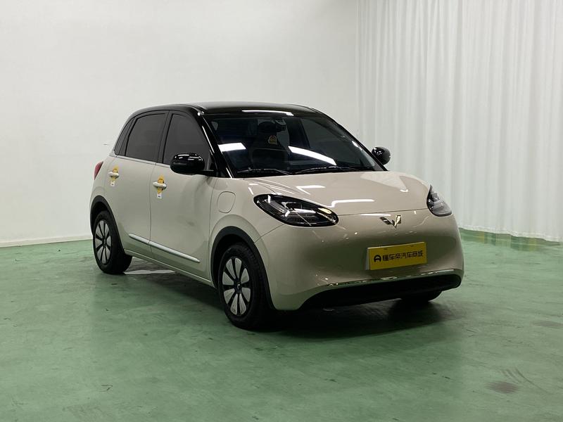 Wuling Wuling Binguo 2024