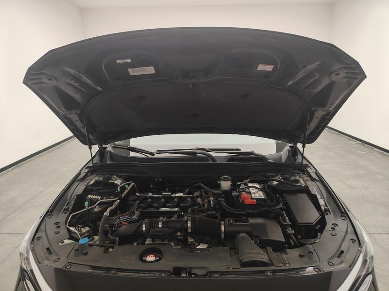 Honda Yingshi Pai 2019