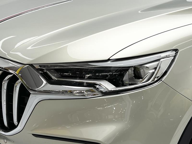Hongqi Red Flag HS5 2019