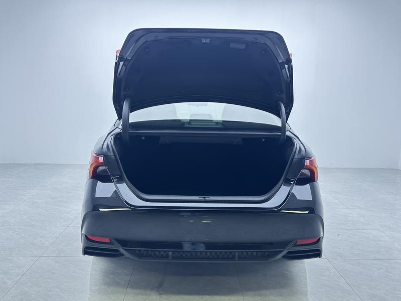 Toyota Asian Dragon 2019