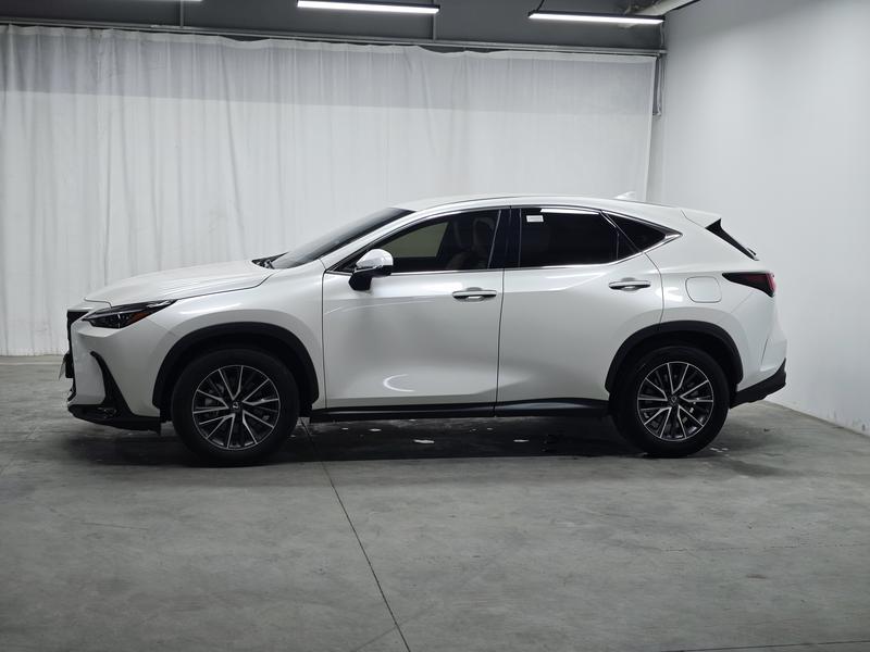 Lexus Lexus NX 2024