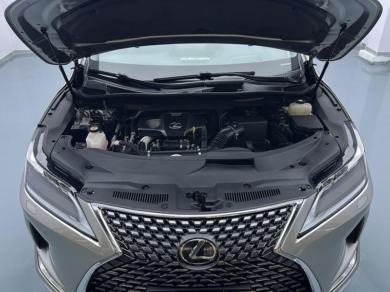 Lexus Lexus RX 2020