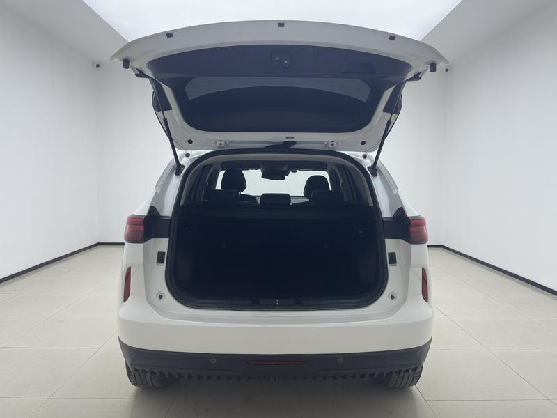 Haval Haval H6 2021