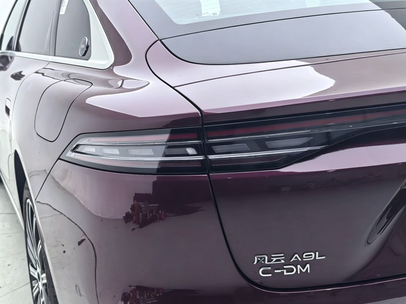 Fengyun Fengyun A9L 2025