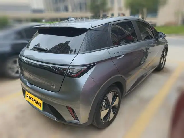 BYD dolphin Fashion edition