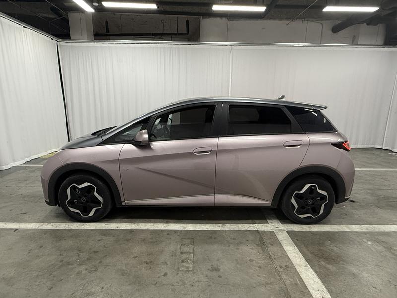 BYD dolphin 2021