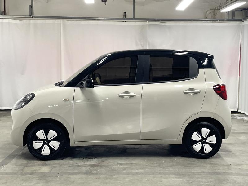 Wuling Wuling Hongguang MINIEV 2025
