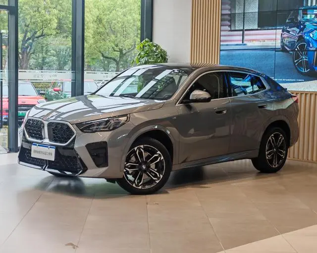 BMW BMW X2 (imported) sDrive25i M sports suit