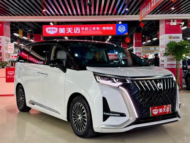 Denza Denza D9 DM 970 four-wheel drive flagship