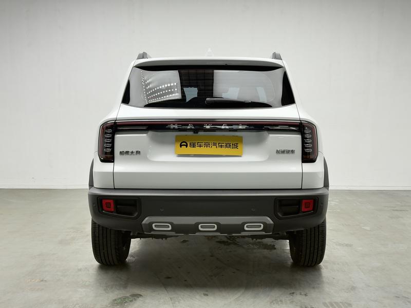 Haval Haval Big Dog 2024