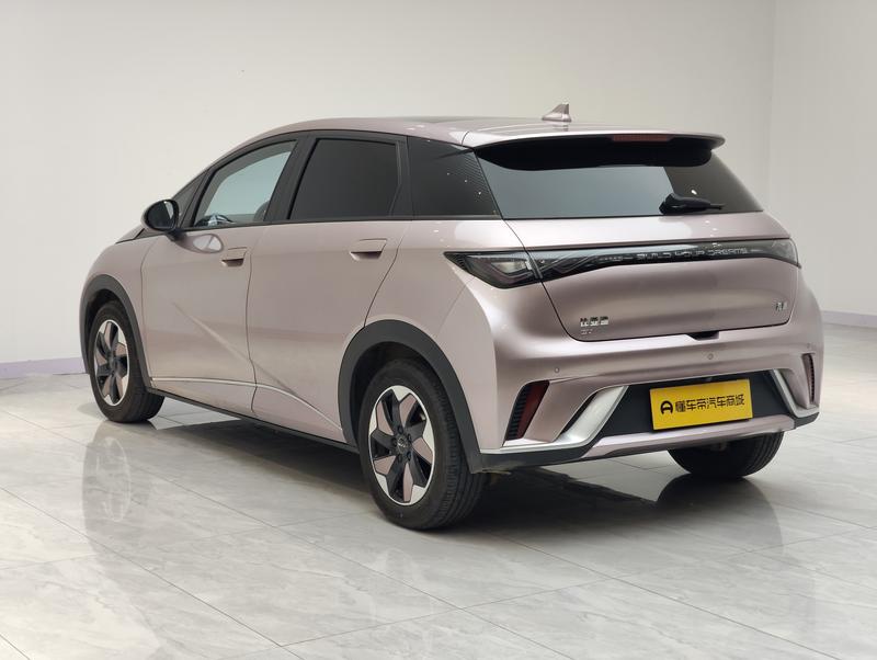 BYD dolphin 2024