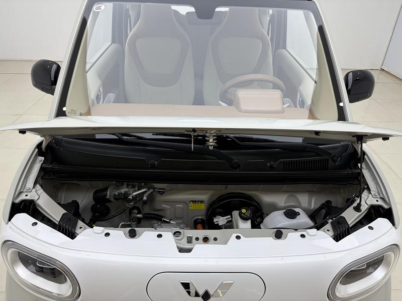 Wuling Wuling Hongguang MINIEV 2024