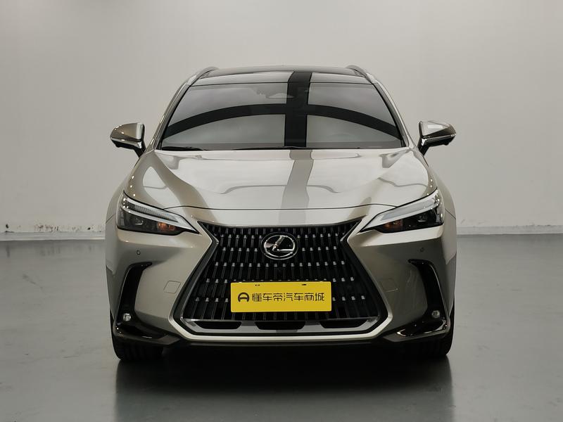 Lexus Lexus NX 2022