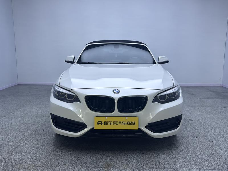 BMW BMW 2 Series (imported) 2019