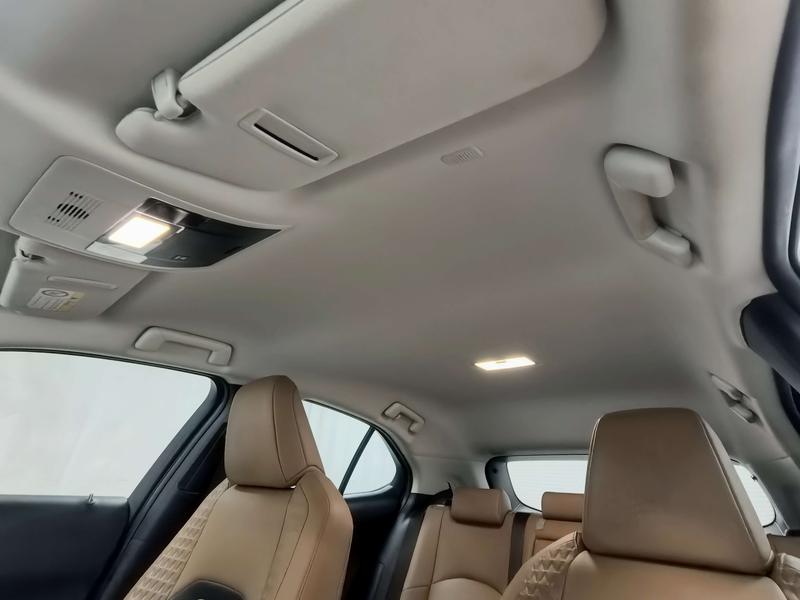 Lexus Lexus UX 2019