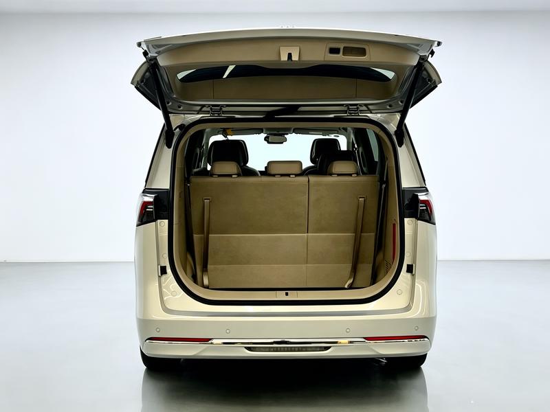 Buick Buick GL8 PHEV 2025