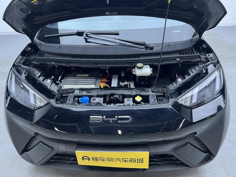 BYD seagull 2024