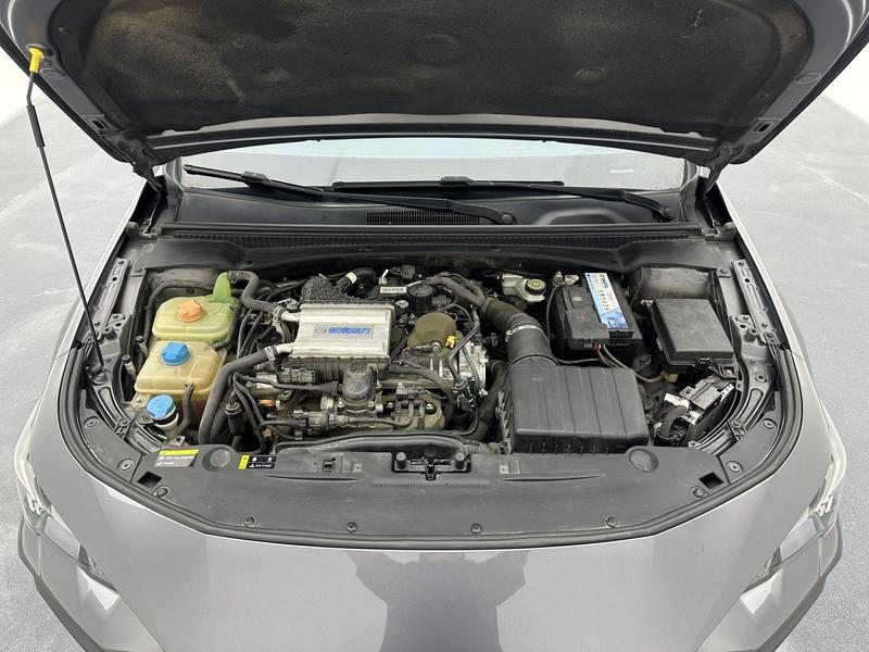 Trumpchi Shadow Leopard 2021