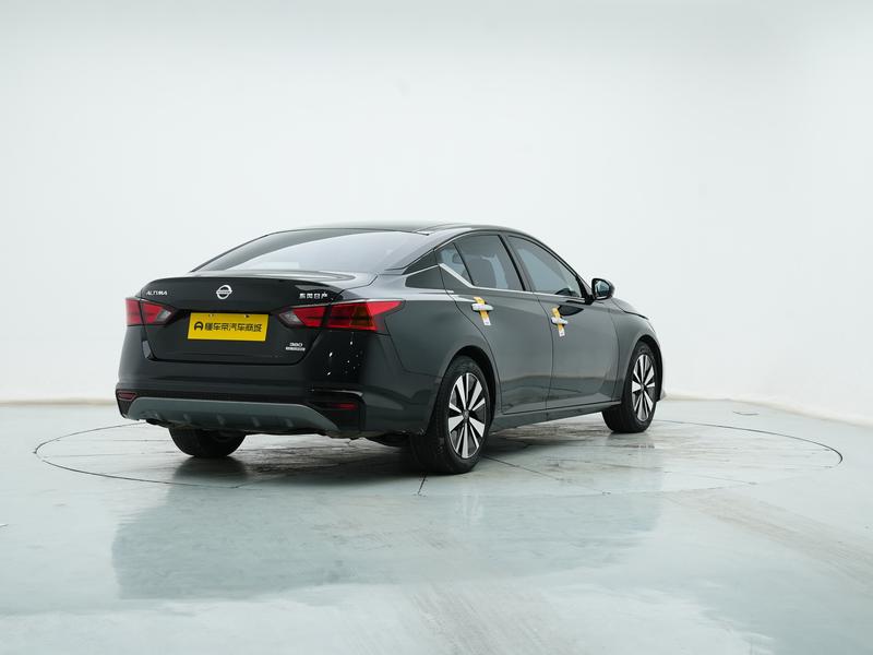 Nissan Sounds of Nature 2021