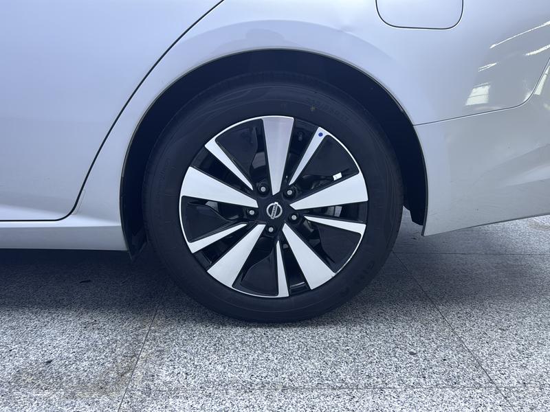 Nissan Sounds of Nature 2021