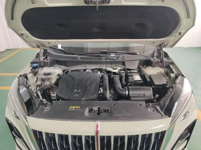 Hongqi Hongqi HS3 2.0T can be version