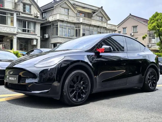 Tesla Model Y Rear-wheel drive version