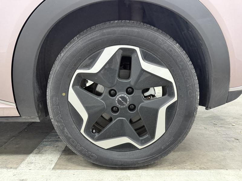 BYD dolphin 2021