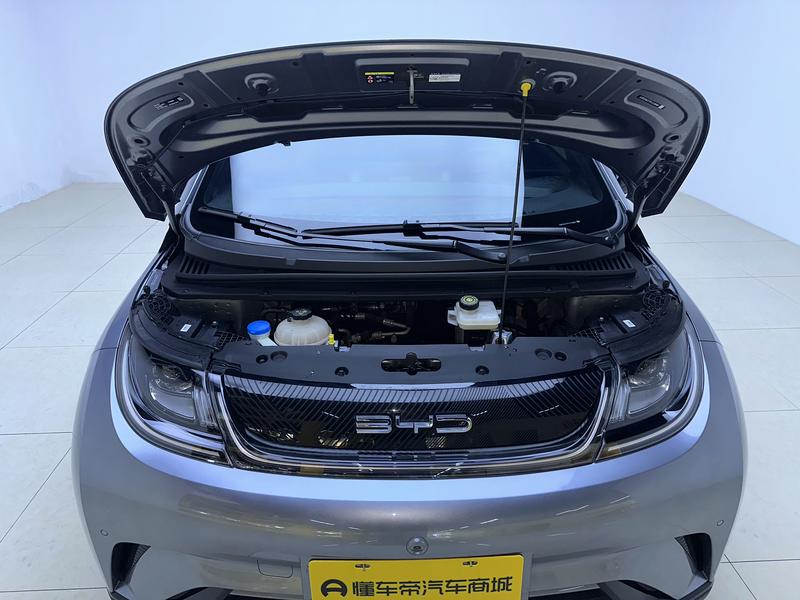 BYD dolphin 2023