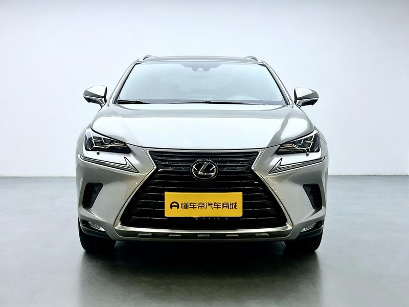 Lexus Lexus NX 2020