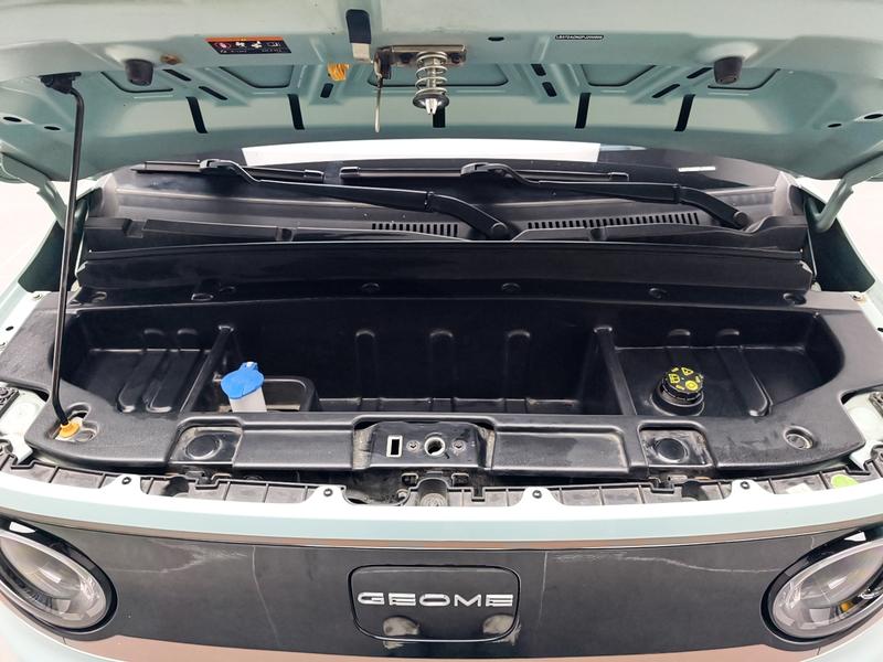 Geely Galaxy panda 2024