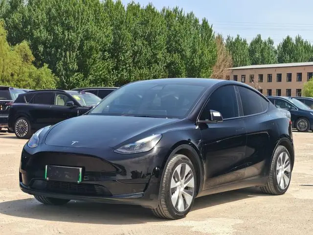 Tesla Model Y Rear-wheel drive version