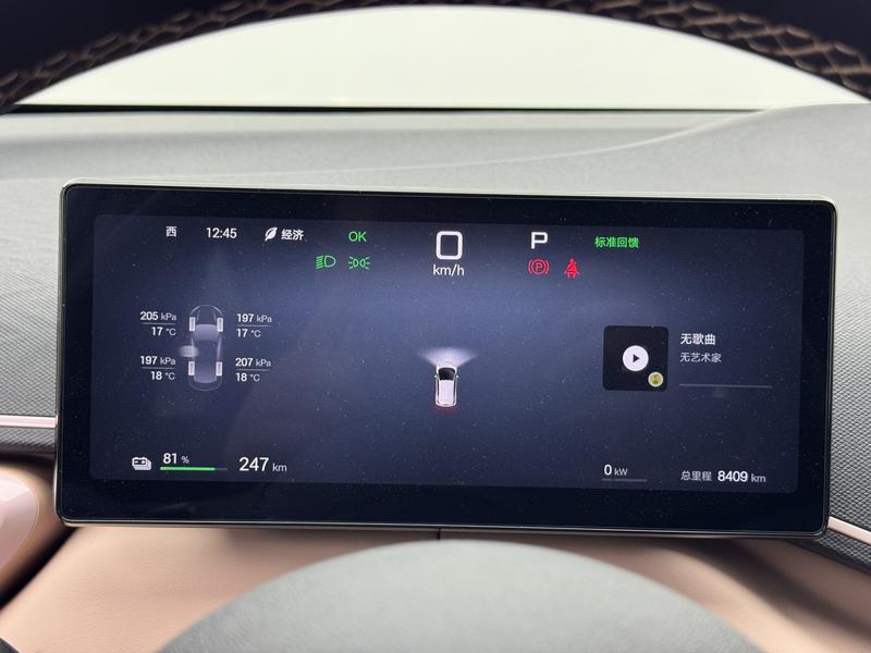 BYD seagull 2025