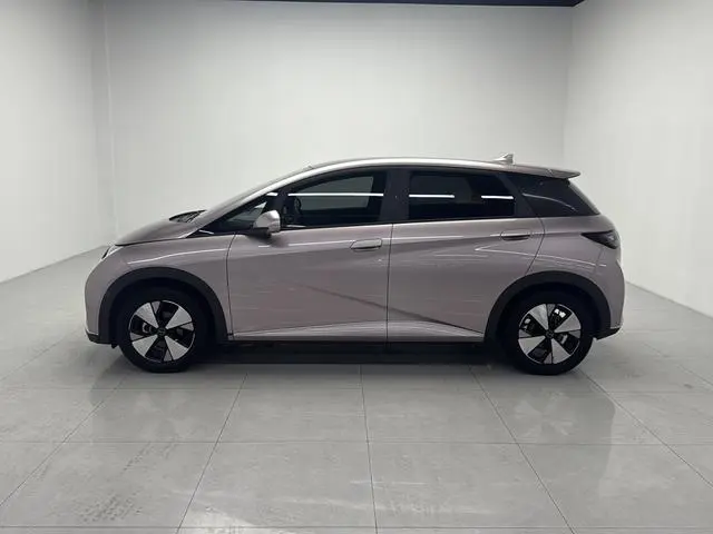 BYD dolphin Fashion edition