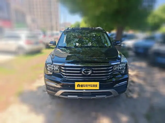 GAC Trumpchi GS8 320T two-wheel drive luxury Zhilian Edition 7 seats