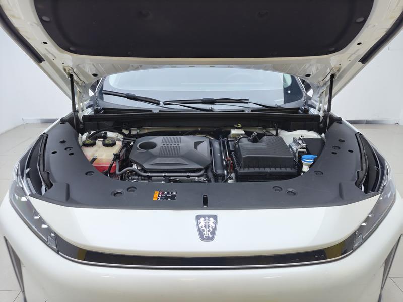 Roewe 荣威D5X DMH 2024