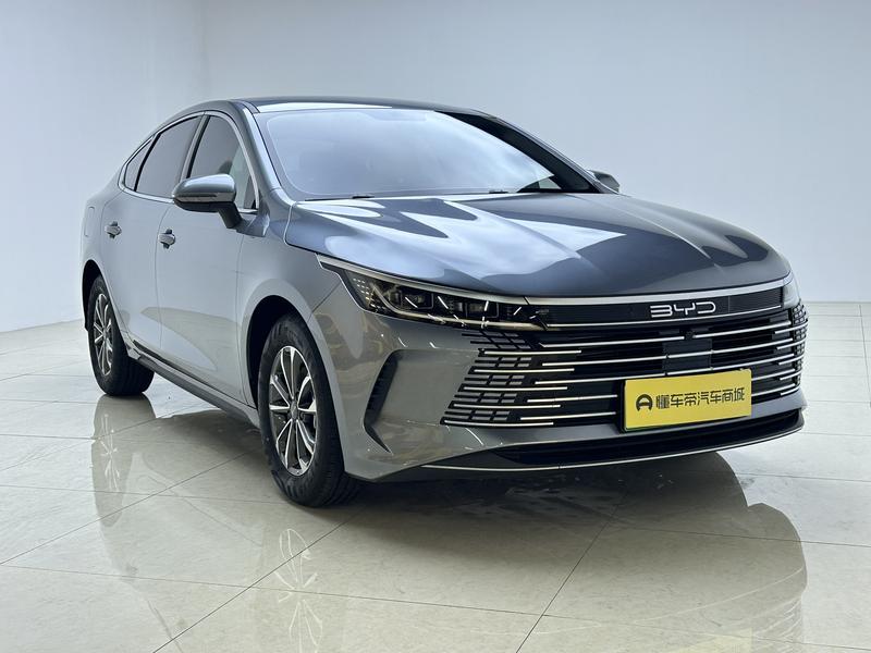 BYD Destroyer 05 2024